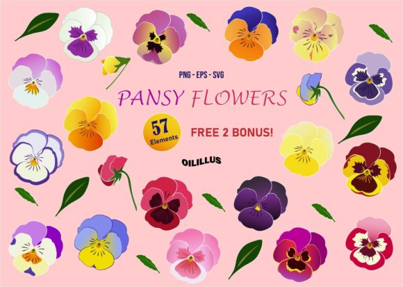Pansy Flowers Graphics for Creative Design
